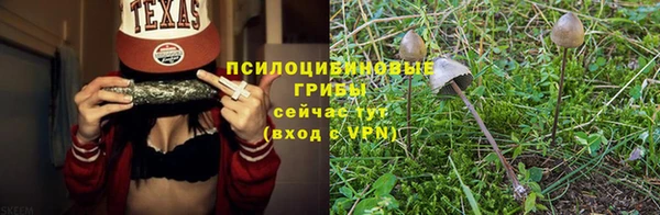 таблы Дмитровск