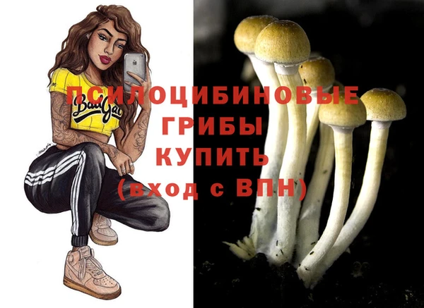 меф Дмитров